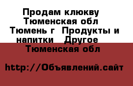 Продам клюкву - Тюменская обл., Тюмень г. Продукты и напитки » Другое   . Тюменская обл.